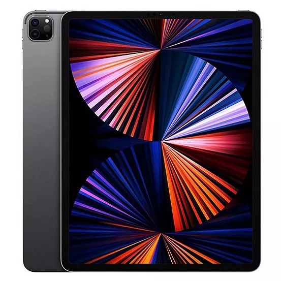 Apple 2022 11-inch iPad Pro (Wi-Fi + Cellular, 256GB)